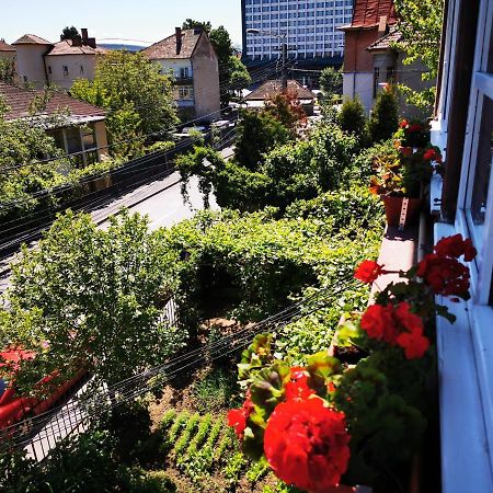 Apartament Hunter Apartment Cluj-Napoca Luaran gambar