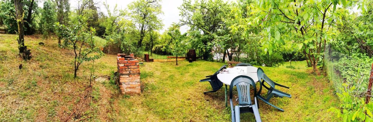 Apartament Hunter Apartment Cluj-Napoca Luaran gambar