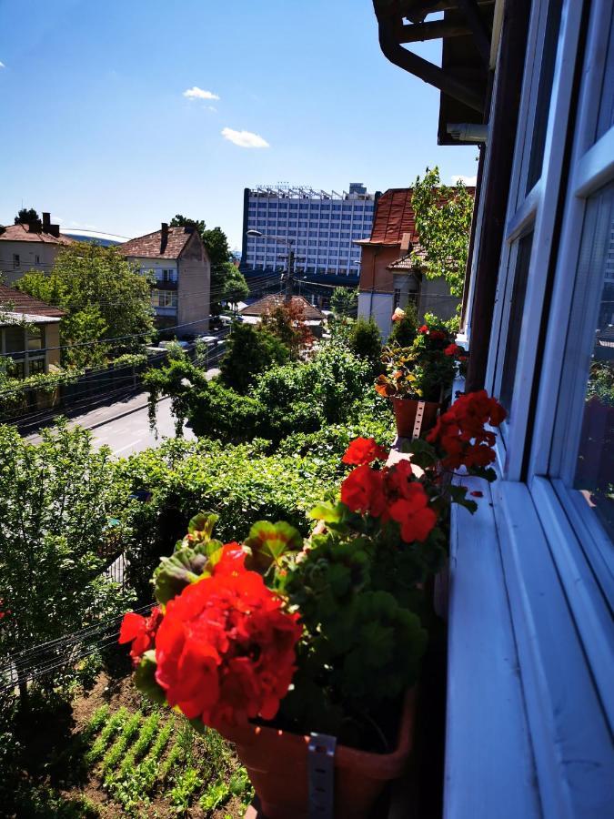 Apartament Hunter Apartment Cluj-Napoca Luaran gambar