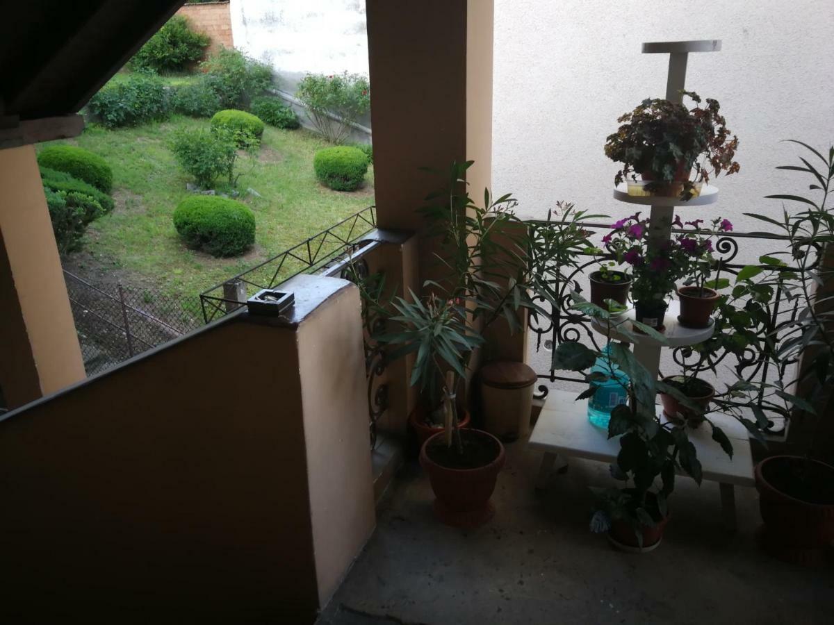 Apartament Hunter Apartment Cluj-Napoca Luaran gambar