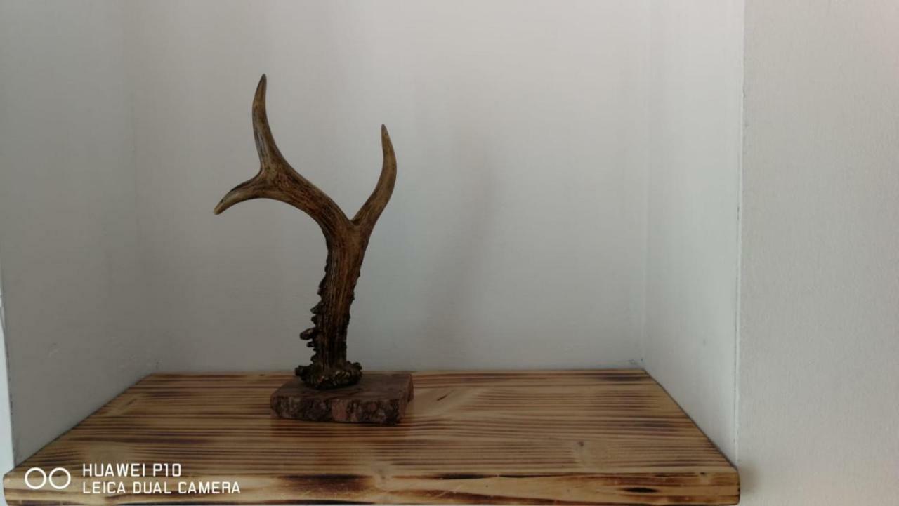 Apartament Hunter Apartment Cluj-Napoca Luaran gambar