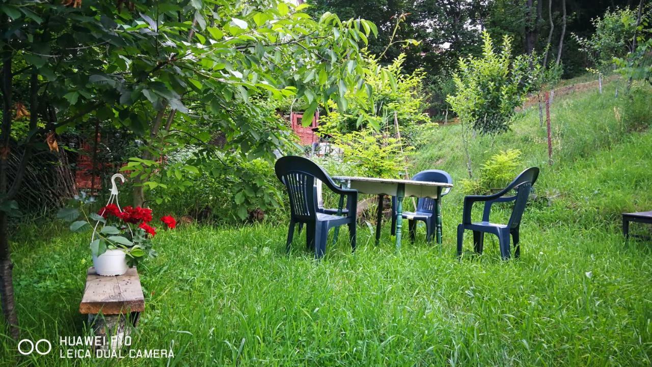 Apartament Hunter Apartment Cluj-Napoca Luaran gambar
