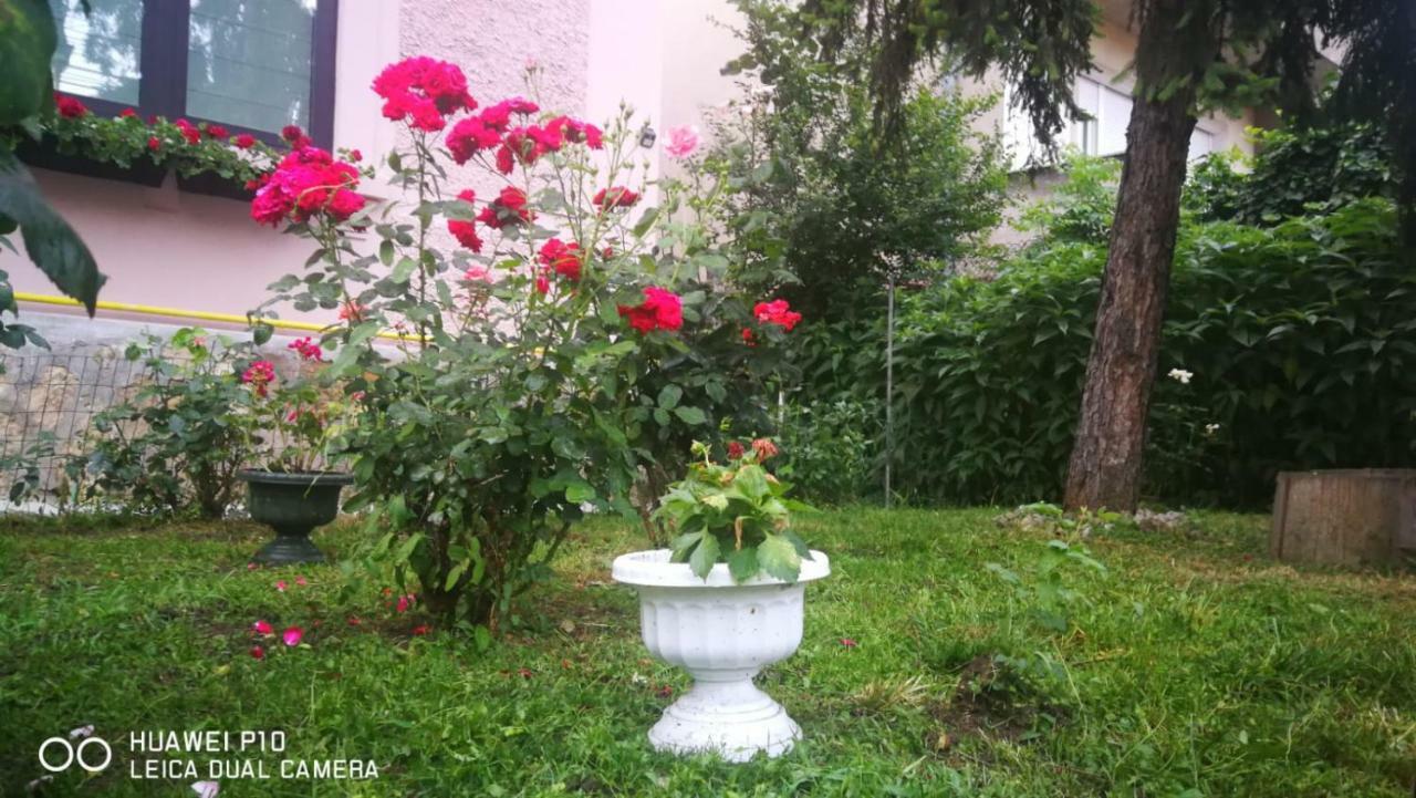 Apartament Hunter Apartment Cluj-Napoca Luaran gambar
