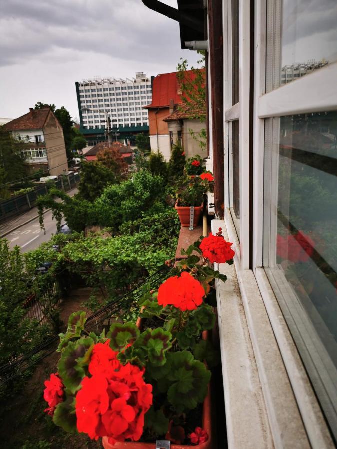 Apartament Hunter Apartment Cluj-Napoca Luaran gambar