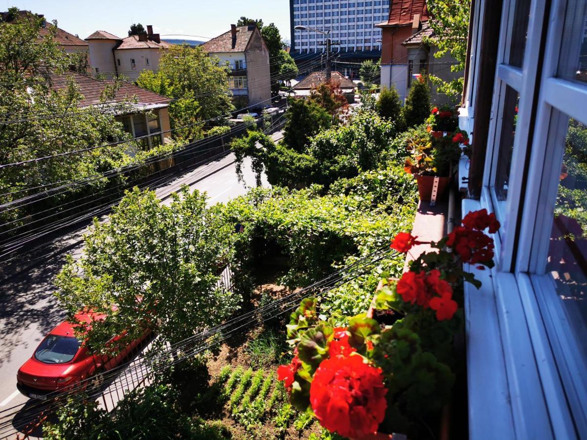 Apartament Hunter Apartment Cluj-Napoca Luaran gambar